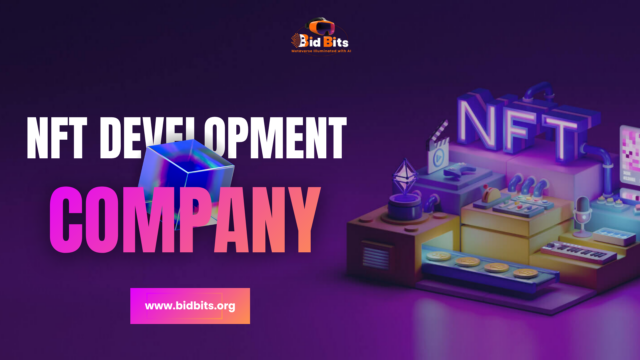 NFT Development - Bidbits
