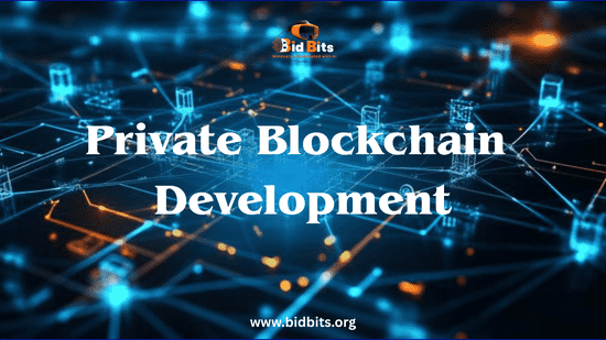 Private_Blockchain_Development_1_optimized_350
