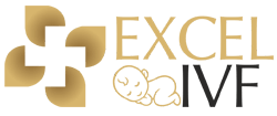 Excel-IVF-New-Logo (1)