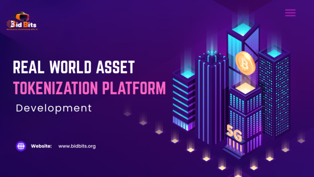 REal World Asset