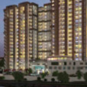 Profile photo of Purva Northern Lights