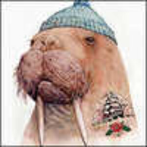 Profile photo of Martin Whittaker