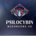 Profile photo of PSILOCYBIN Mushrooms UK