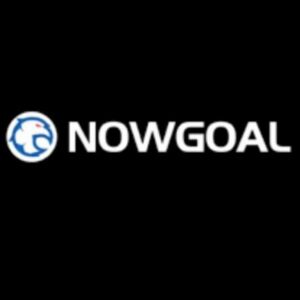 Profile photo of Nowgoall work