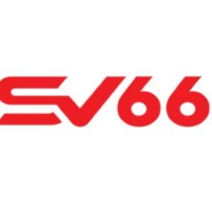Profile photo of SV66 nin