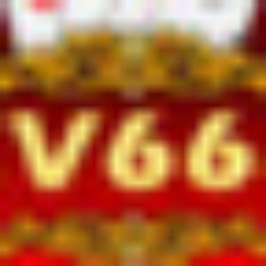 Profile photo of CV666 CV666