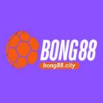 Profile photo of Bong88 city