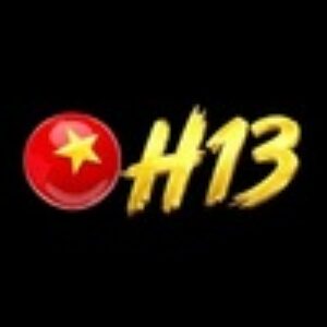 Profile photo of H13 procom