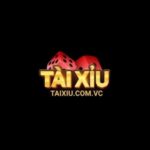 Profile photo of Taixiu com vc