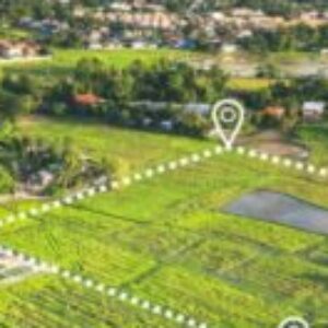 Profile photo of Reeltor 321