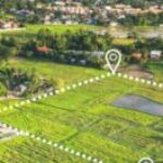 Profile photo of Reeltor 321