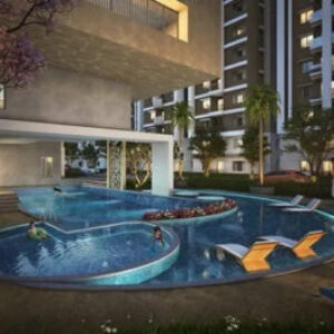 Profile photo of Purva Northern Lights