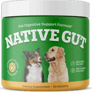 Profile photo of Jimmie Chavez