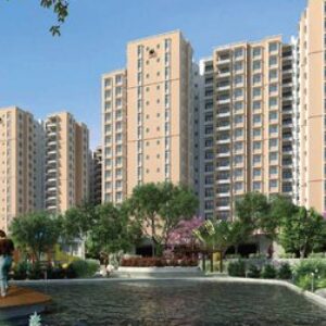 Profile photo of Brigade Granada